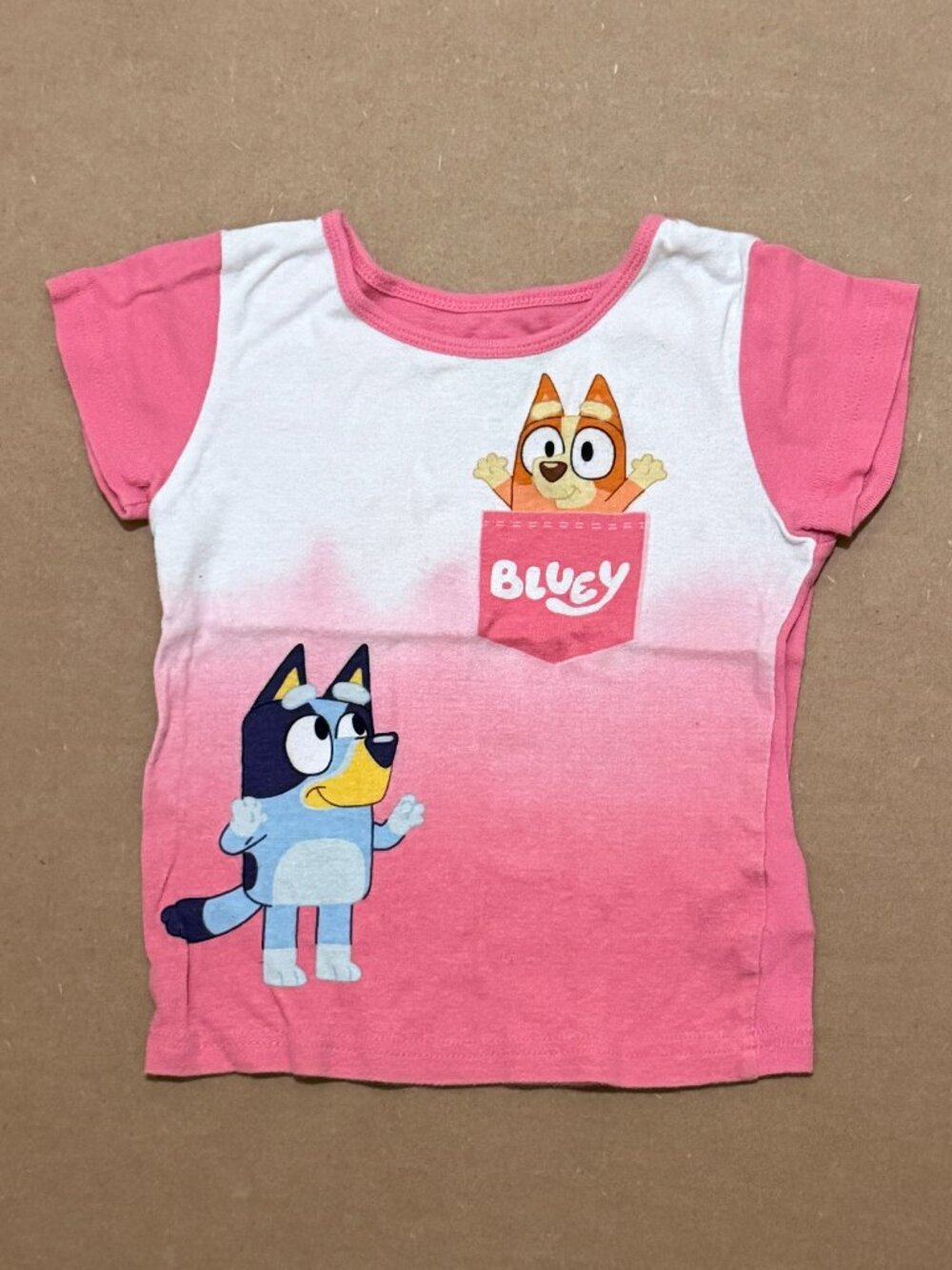 Bluey Pink Ombre Sleep Shirt